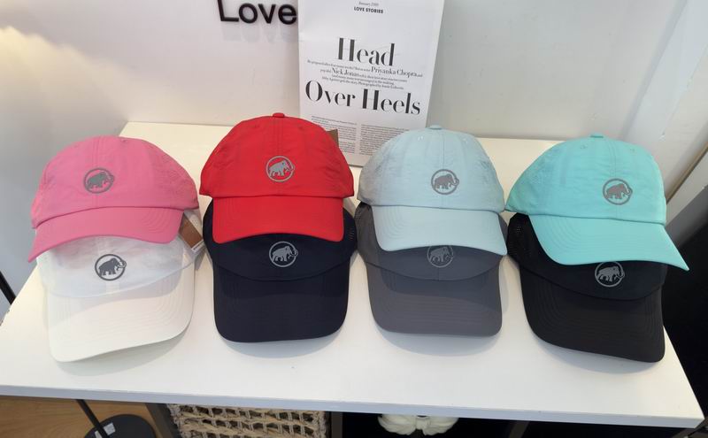 Mammut cap 051901